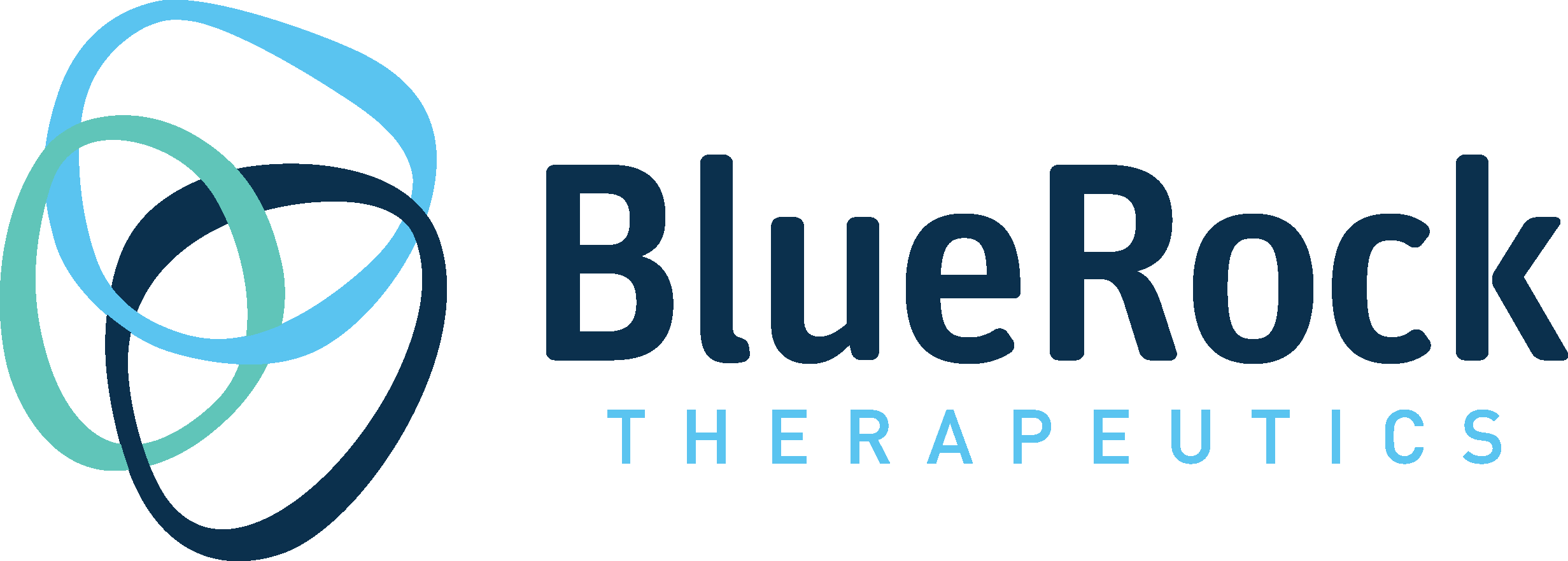 BlueRock Therapeutics Logo